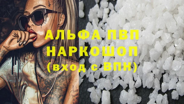 гашик Мегион