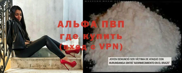 гашик Мегион