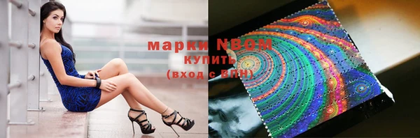 гашик Мегион