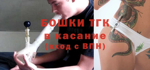 индика Михайловск