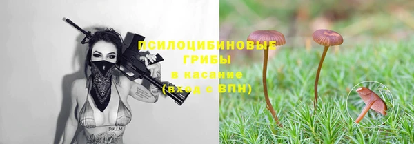 индика Михайловск