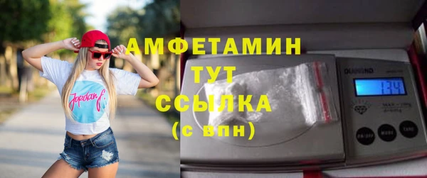 гашик Мегион
