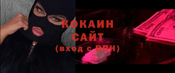 гашик Мегион