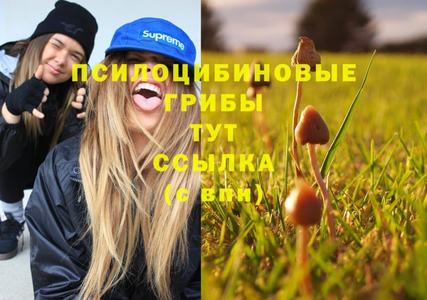 меф Медвежьегорск