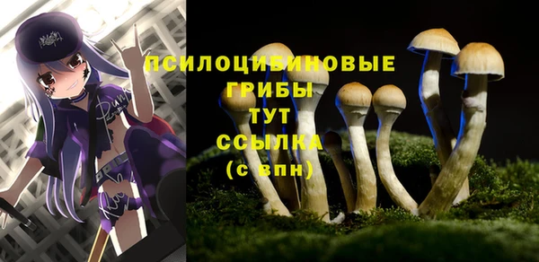 меф Медвежьегорск