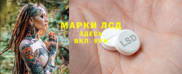 гашик Мегион