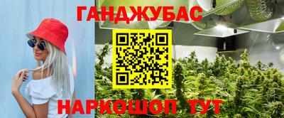 мдпв Аргун