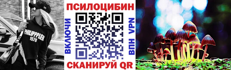что такое наркотик Калач-на-Дону Галлюциногенные грибы Cubensis
